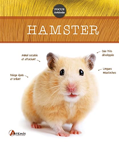 Hamster